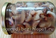 Steinpilze in Marinade