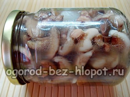 Steinpilze in Marinade
