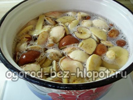 Champignons in Butter kochen
