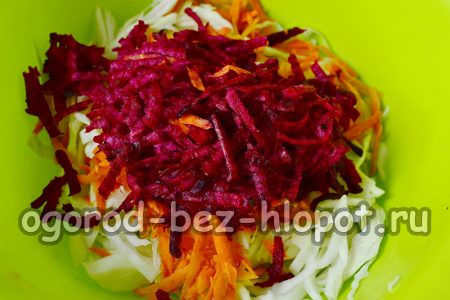Épluchez, lavez et râpez les betteraves comme des carottes.