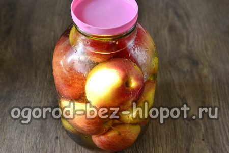 Gieße die Marinade in die Gläser.