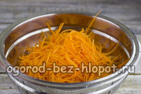 râper les carottes