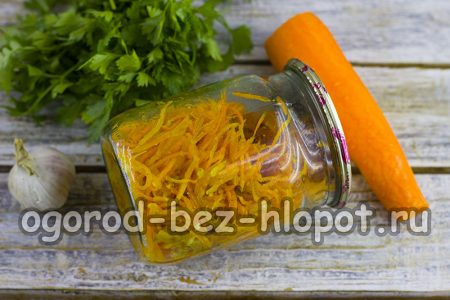 préparation toute prête pour l'hiver