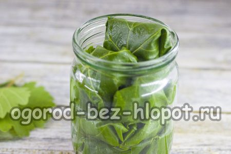 Disporre i cetrioli avvolti nelle foglie di vite sul fondo del barattolo
