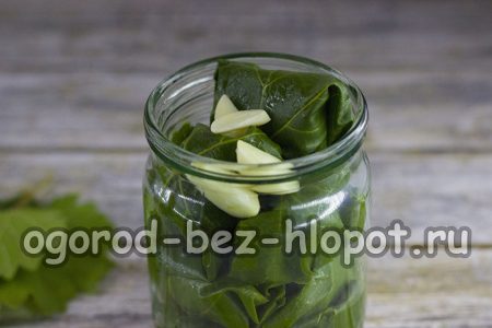 lo strato successivo è composto da spicchi d'aglio sbucciati, grani di pepe nero e pimento