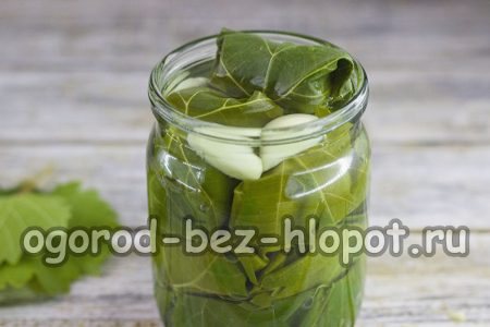 versare la salamoia preparata sui cetrioli