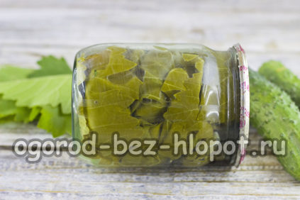 cetrioli in foglie di vite
