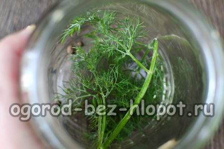 Placez l'aneth et le piment de la Jamaïque dans des bocaux stériles et secs.
