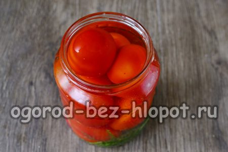 verser de l'eau sur les tomates