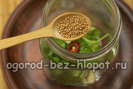 graines de moutarde