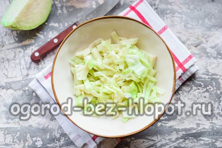 zerkleinerter Kohl