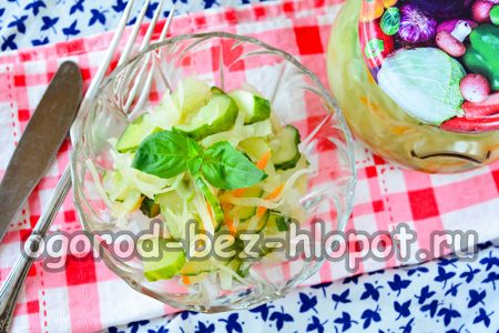 Έτοιμη σαλάτα λάχανου για το χειμώνα