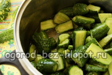 tranches de concombre