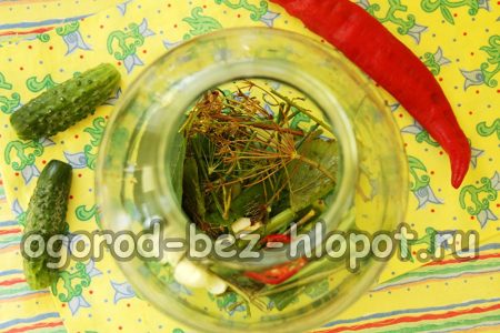 herbes et épices en bocal