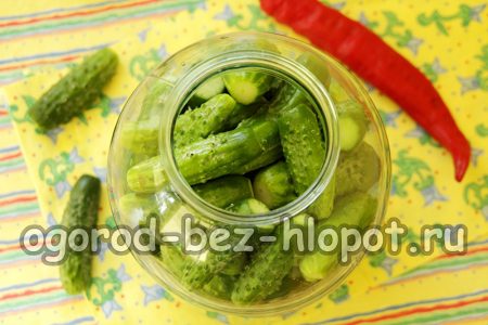 remplir le bocal de concombres