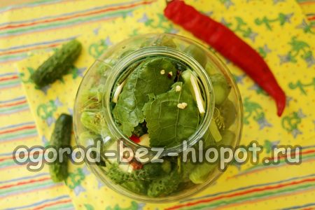 nous disposons les greens restants