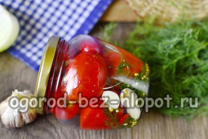 Pomodori semplicemente salati per l'inverno in barattoli come pomodori a botte