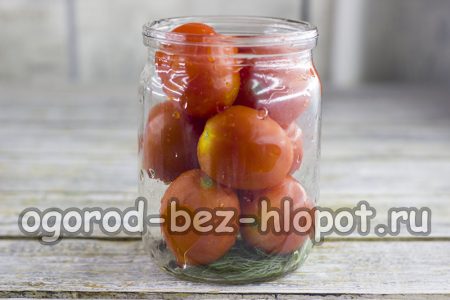 Wir legen die Tomaten aus.