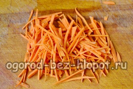 carote tritate