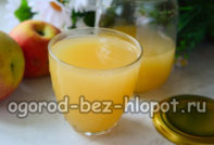 Apple juice for the winter