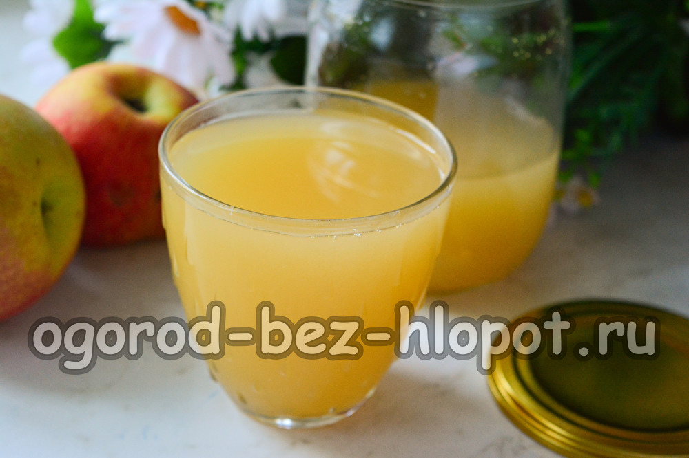 Χυμός μήλου για τον χειμώνα