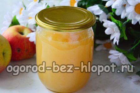 Σπιτικός χυμός μήλου για το χειμώνα χρησιμοποιώντας αποχυμωτή