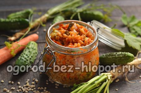 Winterliches Rassolnik-Dressing aus frischen Gurken und Perlgraupen