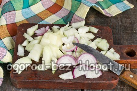 Zwiebel hacken