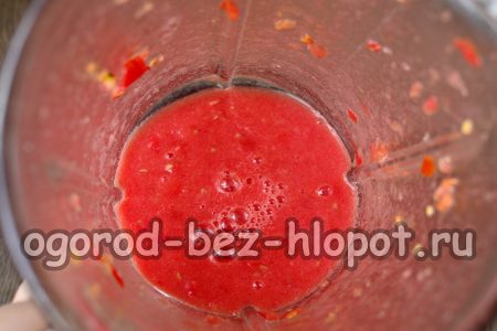 tritare i pomodori nel frullatore