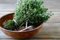 Thymian: Heilwirkungen und Gegenanzeigen, Nutzen und Risiken, Anwendungsbereich