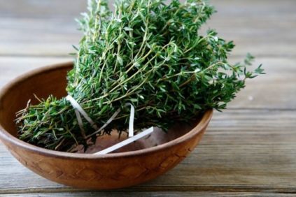 Thymian: Heilwirkungen und Gegenanzeigen, Nutzen und Risiken, Anwendungsbereich
