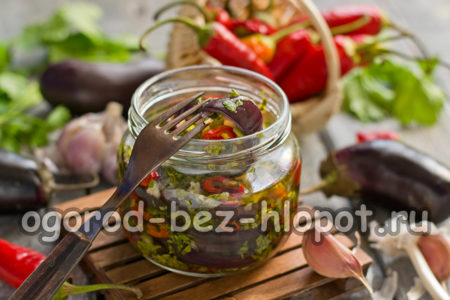 Gekochte Auberginen mit Koriander