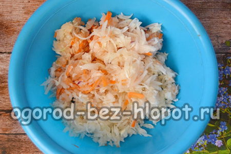 Zwiebel