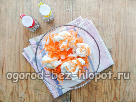 mescolare cavolo, carote, aglio