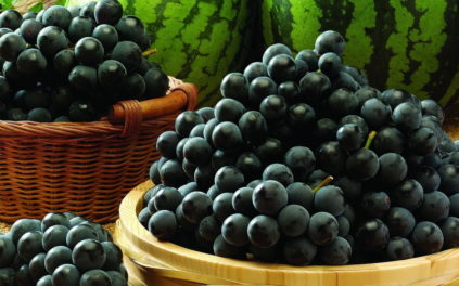 Teneur en calories des raisins noirs