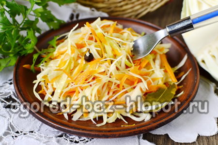 Sauerkraut mit Gewürzen