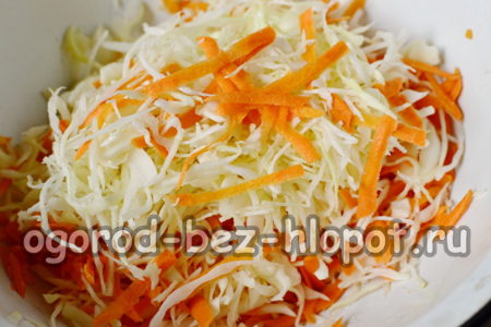 ajouter des carottes au chou