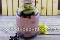 apple and chokeberry compote