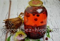κομπόστα κρανιάς