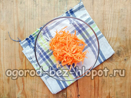 Karotten raspeln