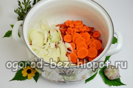Karotten und Zwiebeln