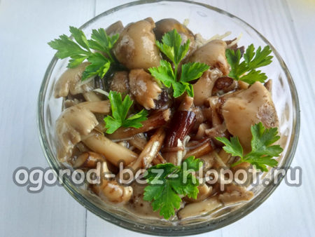 Die fertigen Pilze mit Kräutern garnieren