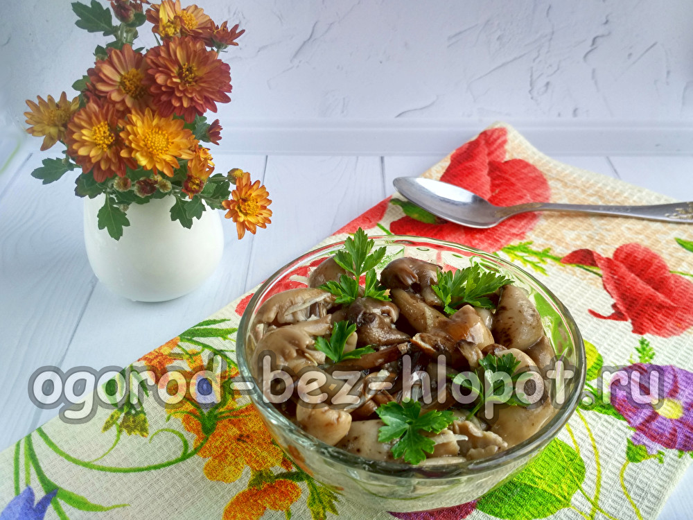 eingelegte Honigpilze