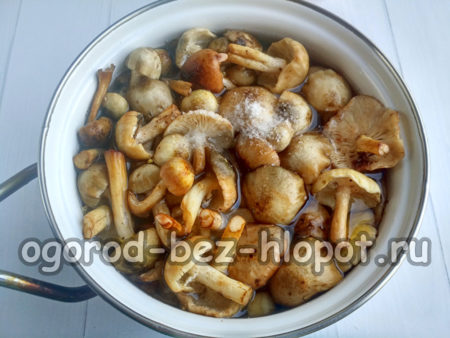 kochen