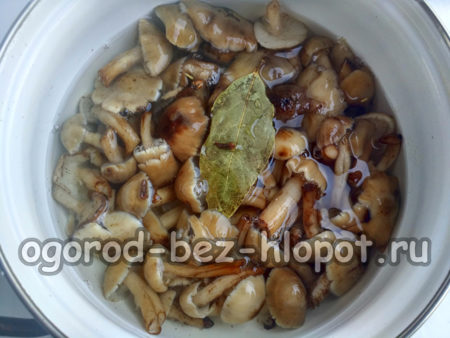 Lorbeerblatt und Nelken hinzufügen