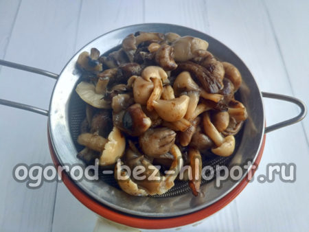 Die Pilze abseihen