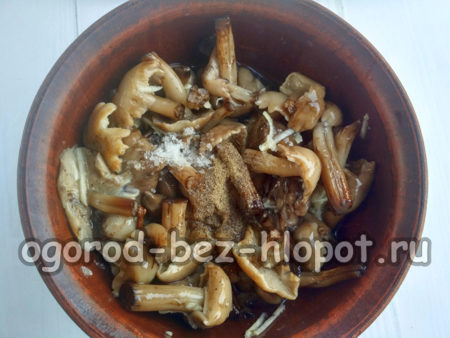 Salz und Pfeffer hinzufügen