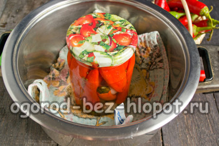 stériliser le bocal