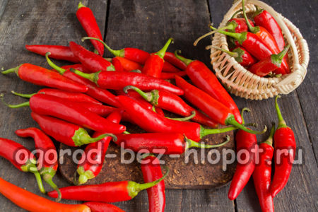 piment