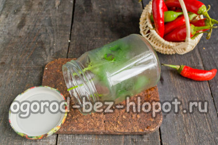 Nous avons mis les légumes verts dans un bocal.